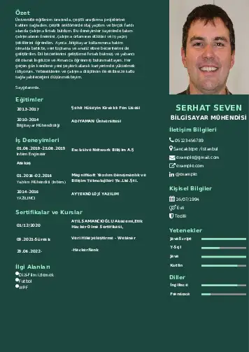 cv indir